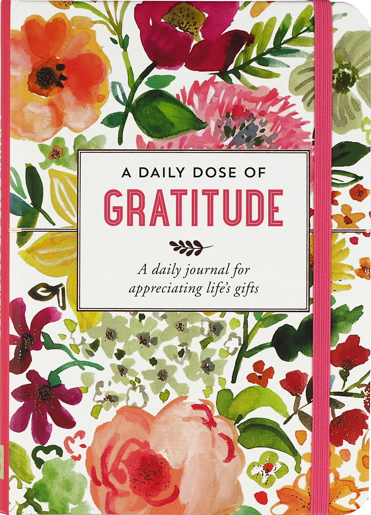 A Daily Dose of Gratitude Journal