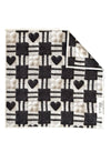 Amour Double-sided dish cloth