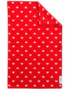 Red-Hot Double sided Dish Towel