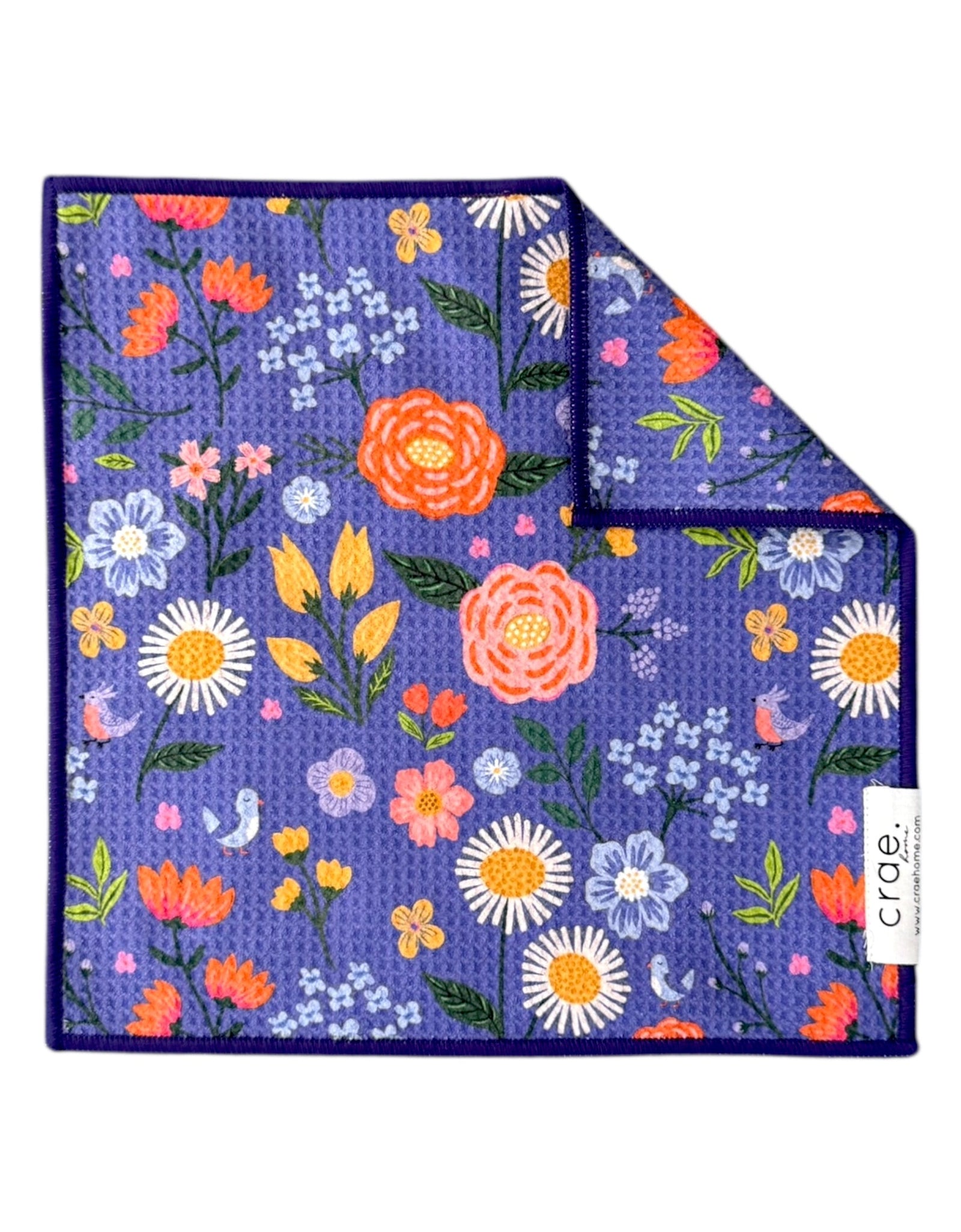 Jamie Cloth