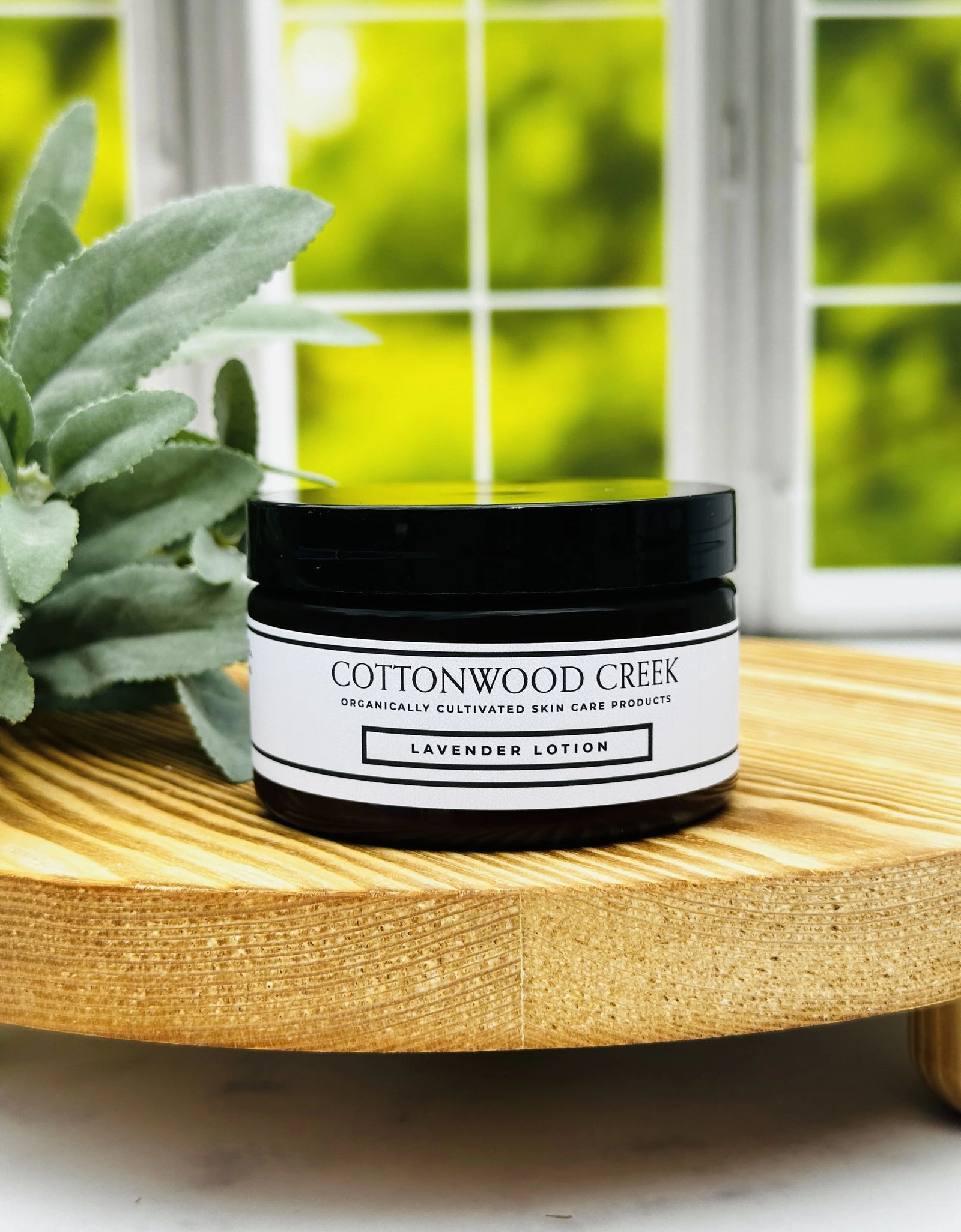 HOC Whipped Body Butter - Lavender