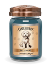 CC Large Jar - Doodle's Delight